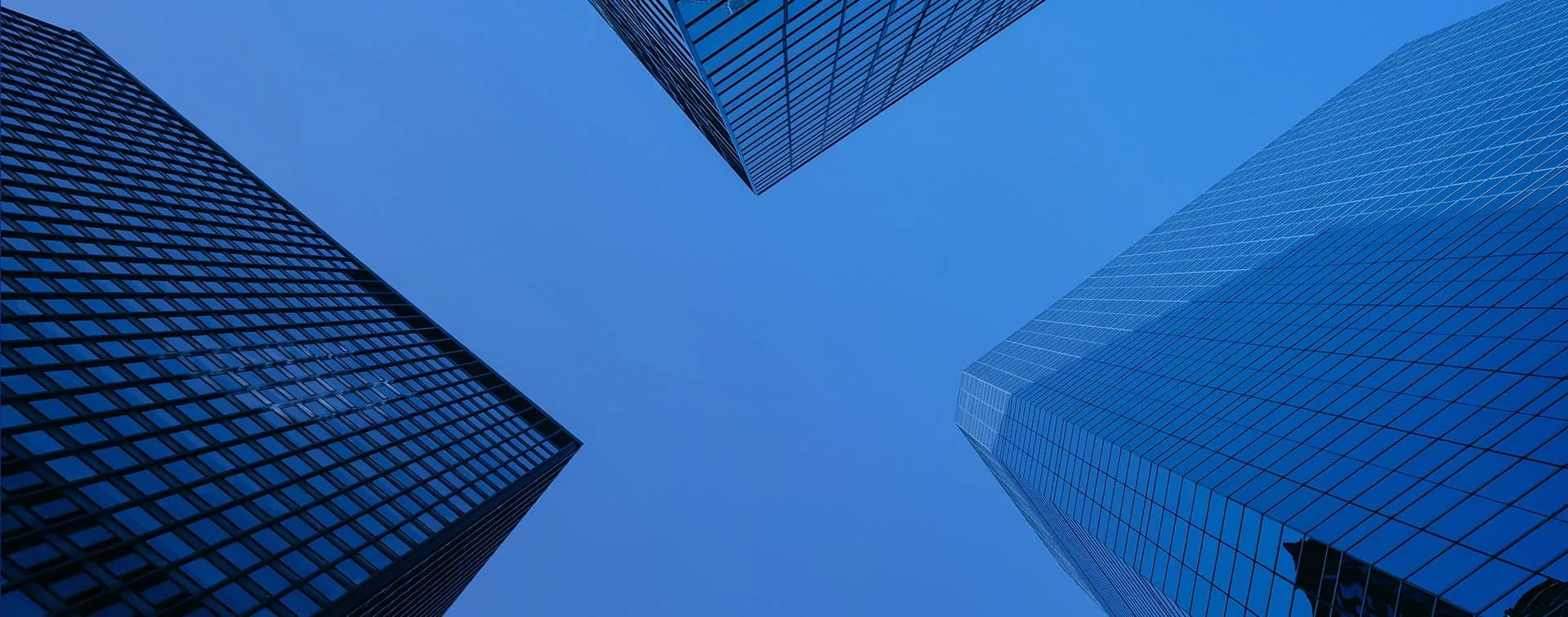 How to Set Up a Company in the Netherlands: A Complete Guide for Foreign Entrepreneurs